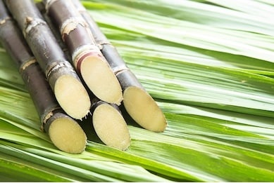 Agriculture Borewell Compressor Pumps for sugarcane